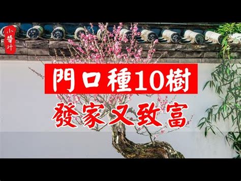 門口種松柏|【門口種松柏】庭院門口的鎮宅之樹：松柏，種對了財運旺不停